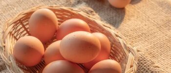 5 cách luộc trứng lòng đào béo ngậy, thơm ngon, bổ dưỡng cho sức khỏe