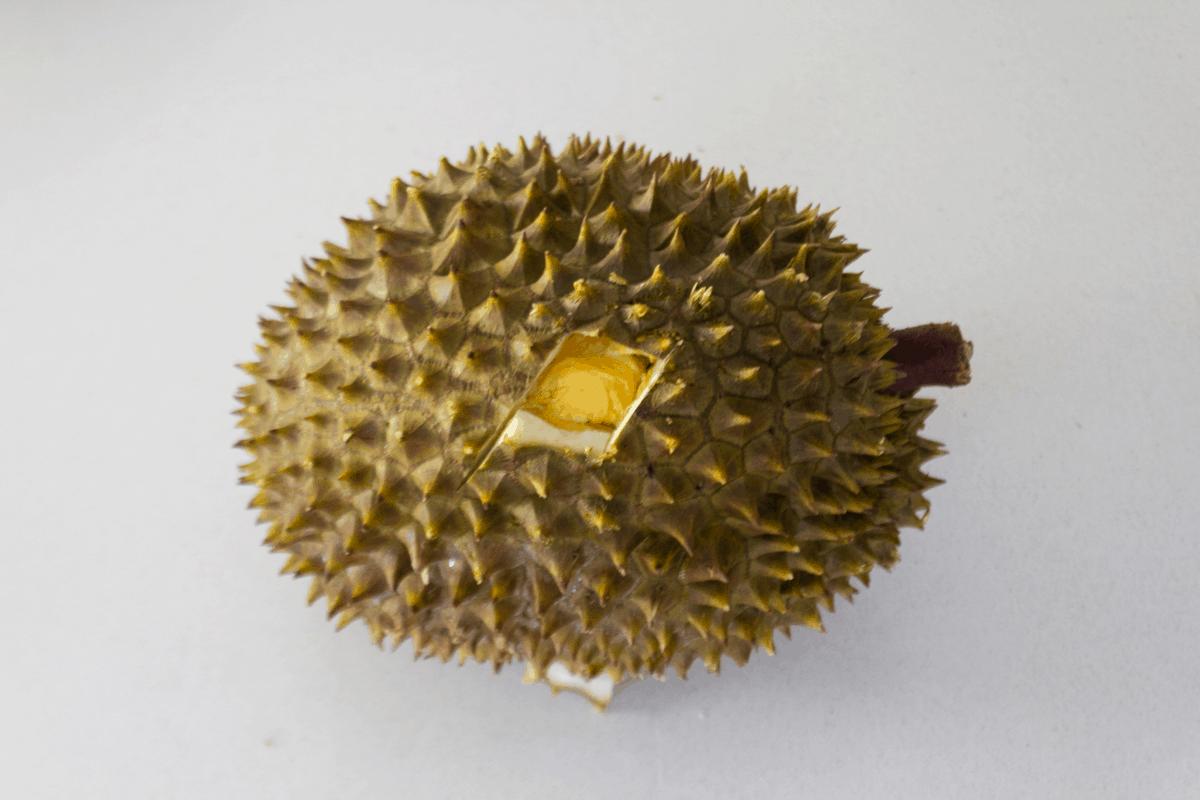 A durian with a hole cut through the husk.
