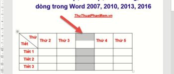 Hướng dẫn thêm, xóa cột và dòng trong Word 2007, 2010, 2013, 2016