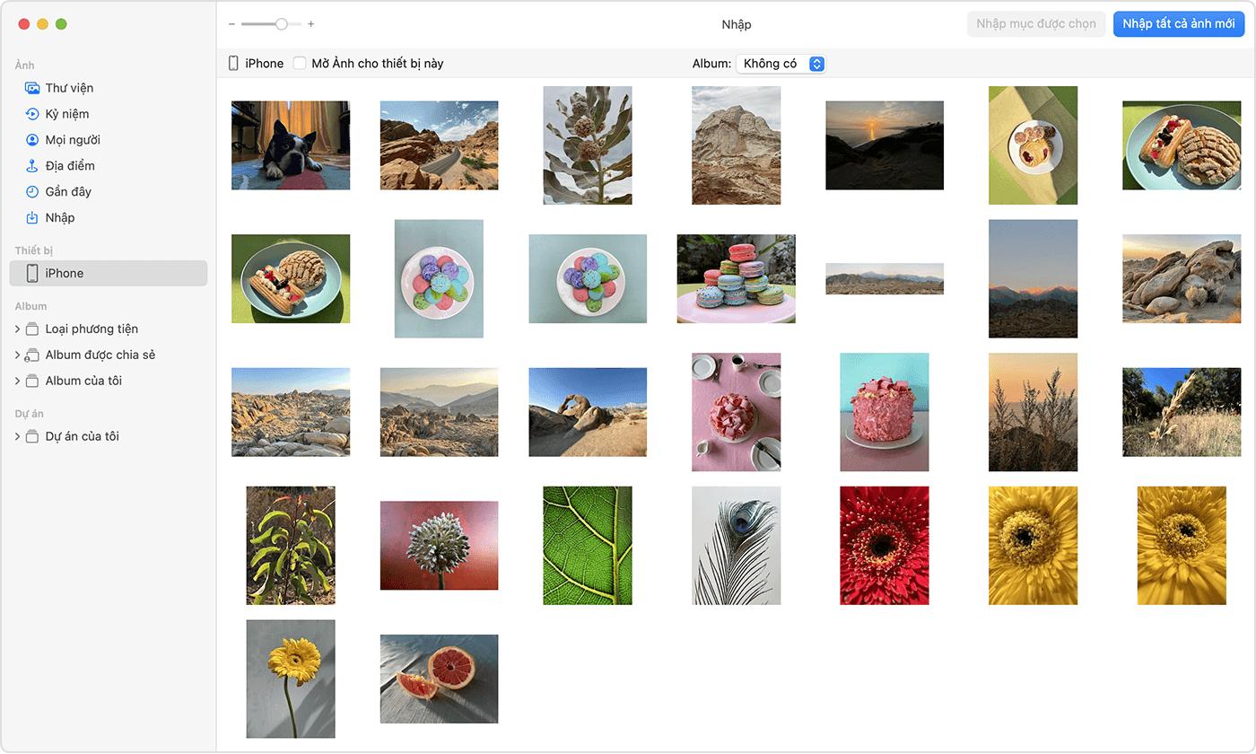 Màn hình máy Mac hiển thị những ảnh có thể nhập