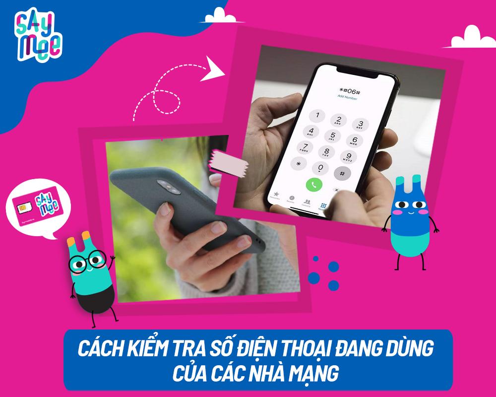 Cách kiểm tra số điện thoại