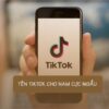 Tên TikTok độc đáo, ID Tik Tok đẹp, phong cách cho cả Nữ và Nam